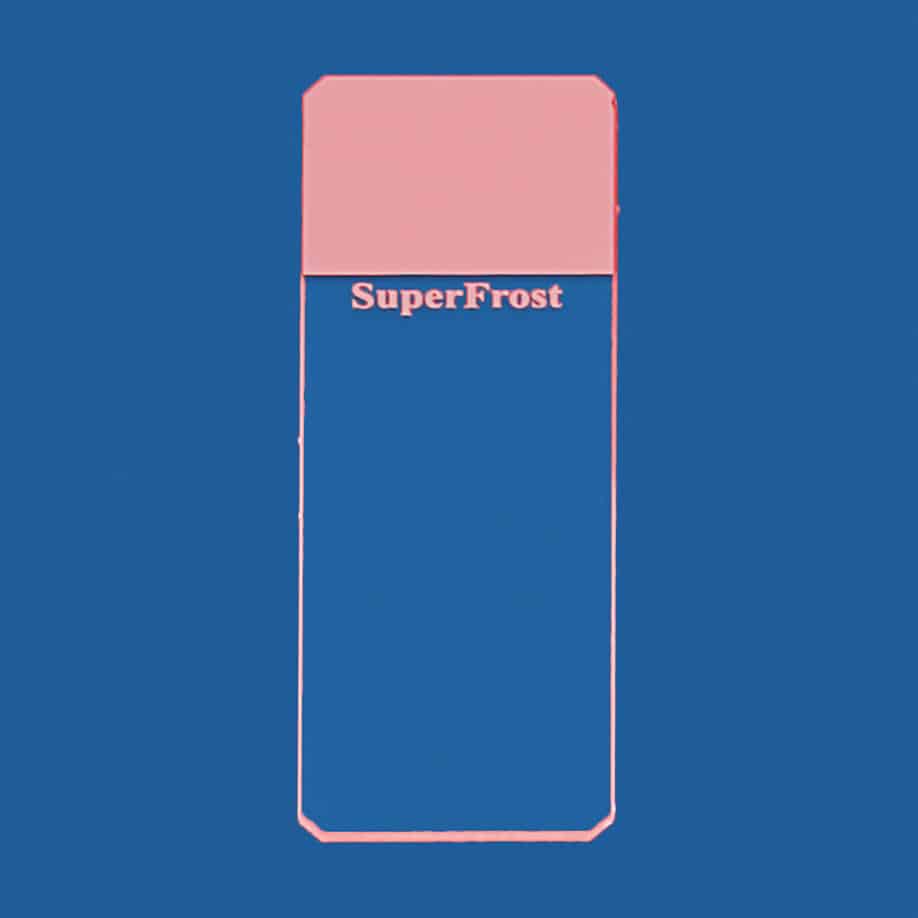 Objektträger SuperFrost rosa