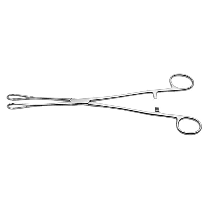 Rampley Schwammzange,